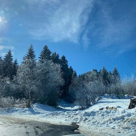 Ferienhaeuschen Gartenblick Friedrichroda Luaran gambar